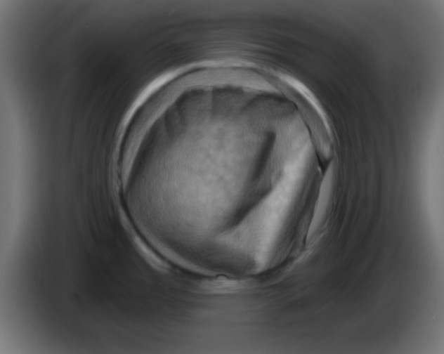 X0000083041485200703022037