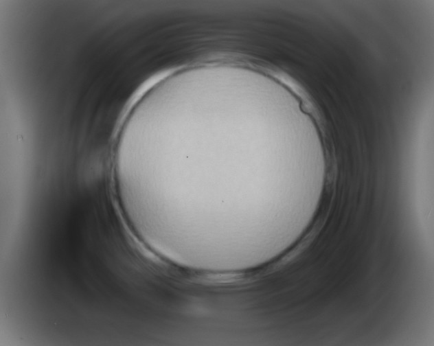 X0000083041486200703022037