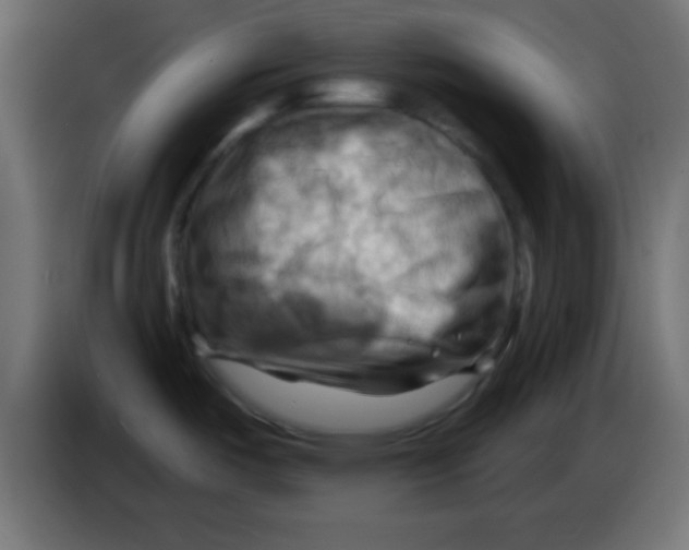 X0000083041487200703022037