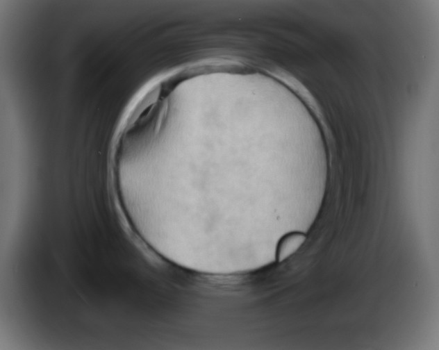 X0000083041488200703022037