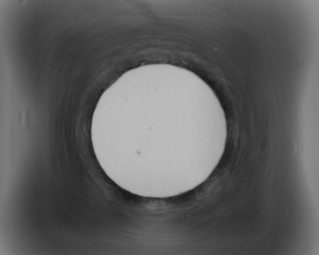 X0000083041489200703022037