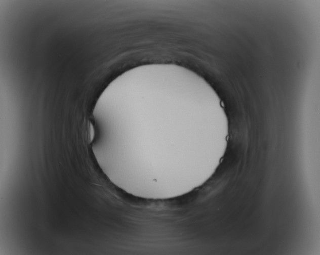 X0000083041490200703022037