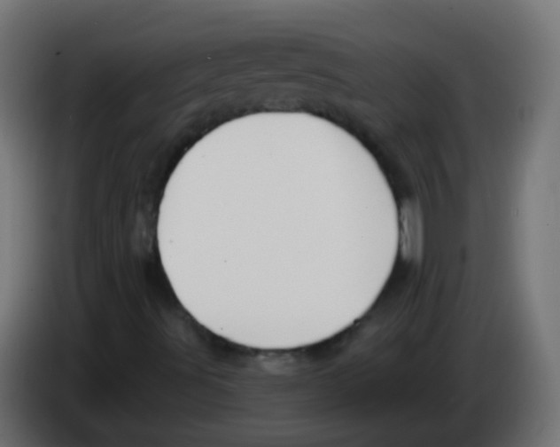 X0000083041491200703022037