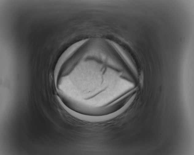 X0000083041492200703022037