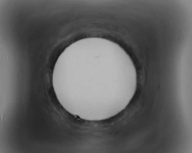 X0000083041493200703022037