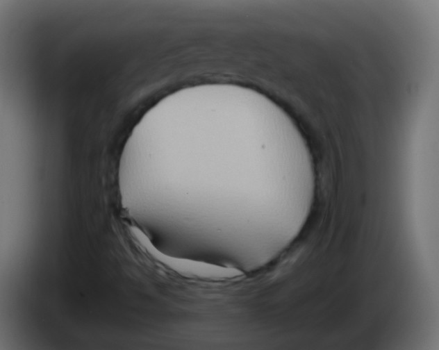 X0000083041494200703022037