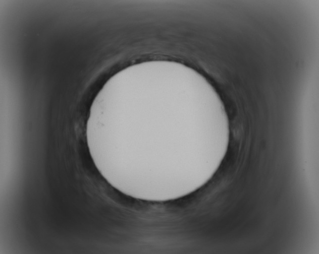 X0000083041495200703022037