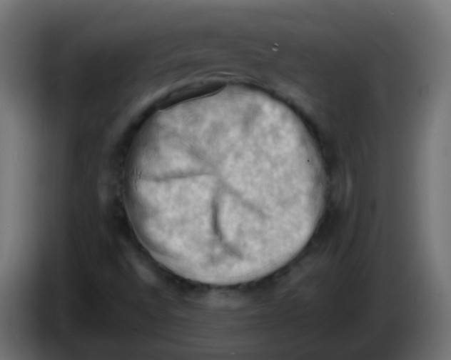 X0000083041496200703022037