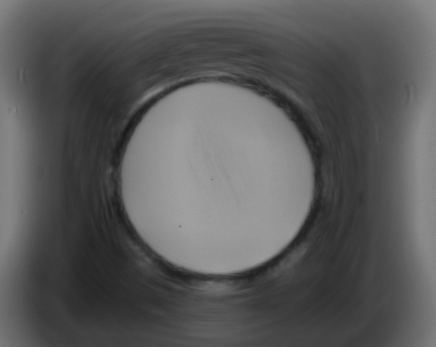 X0000083041497200703022037