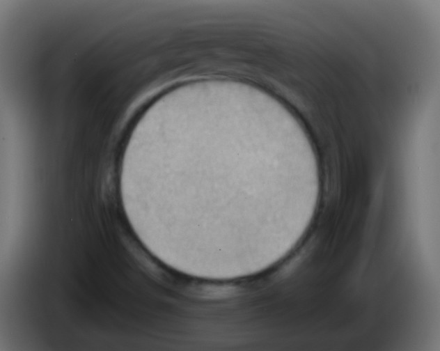 X0000083041498200703022037