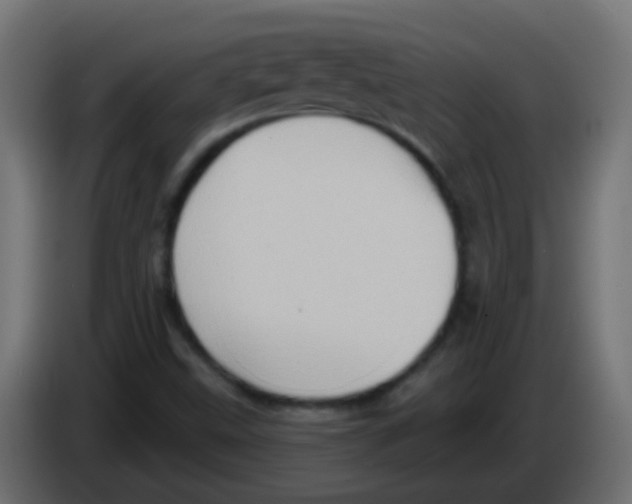 X0000083041499200703022037