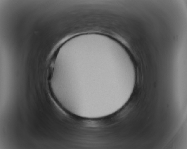 X0000083041500200703022037