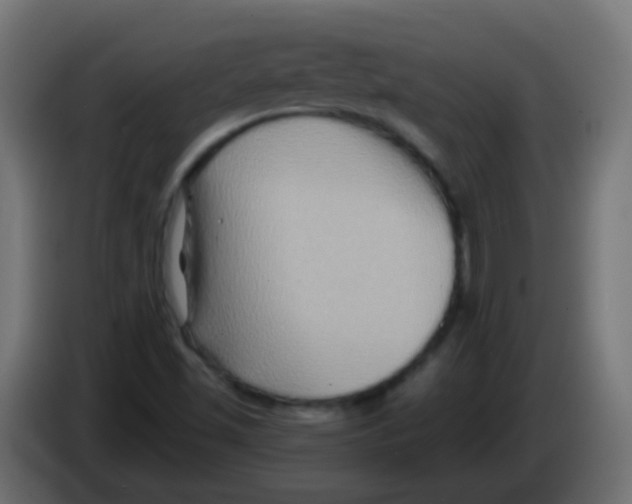 X0000083041501200703022037