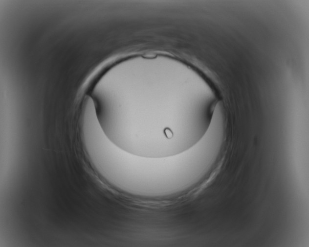 X0000083041502200703022037