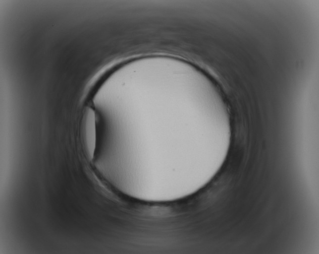 X0000083041503200703022037