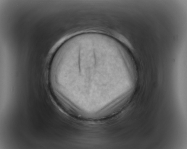 X0000083041504200703022037