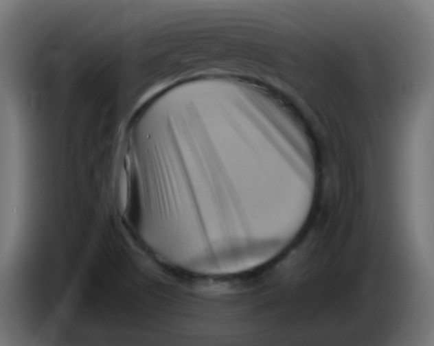 X0000083041505200703022037