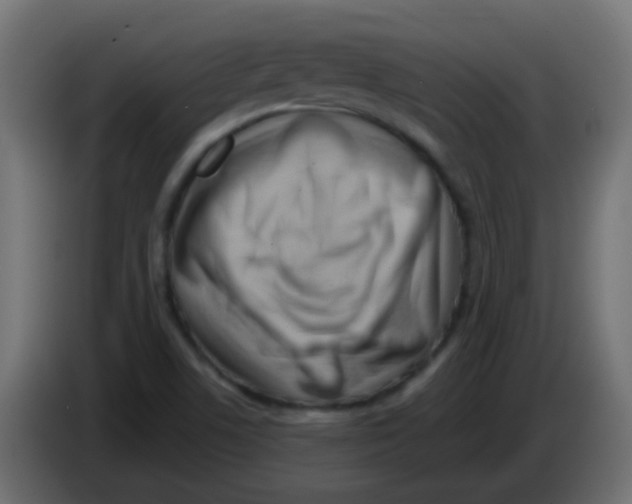 X0000083041506200703022037