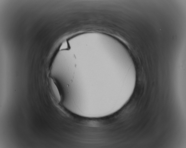 X0000083041507200703022037