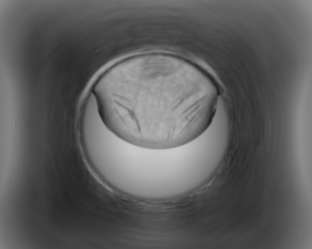 X0000083041508200703022037