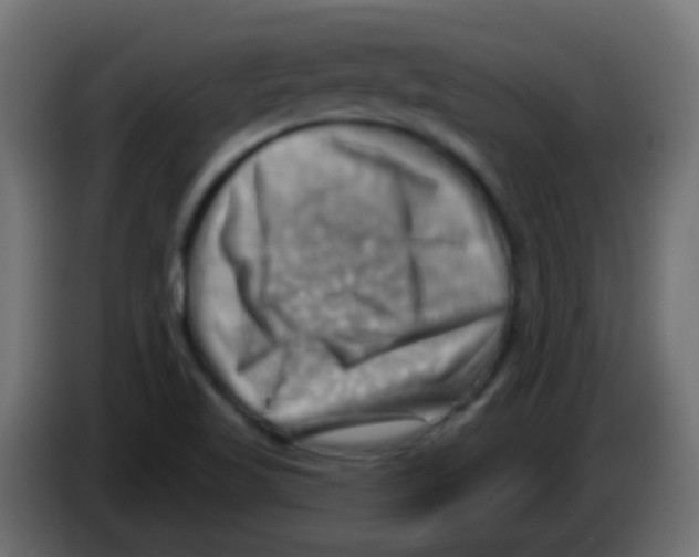 X0000083041509200703022037