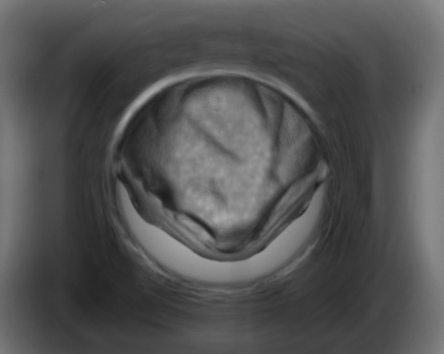 X0000083041510200703022037