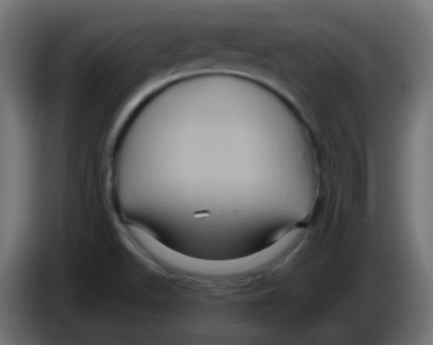 X0000083041511200703022037