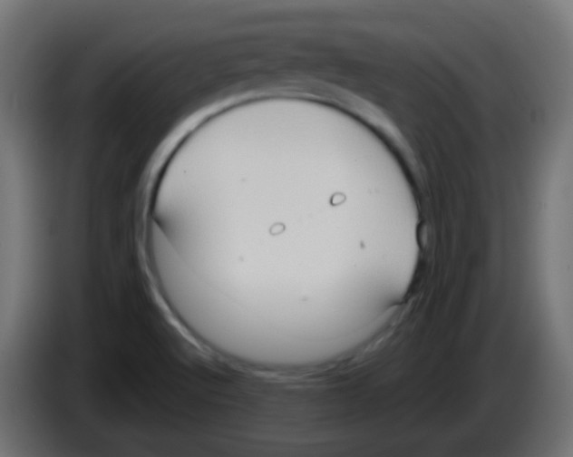 X0000083041512200703022037