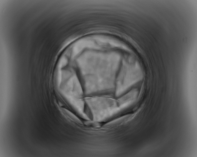 X0000083041513200703022037