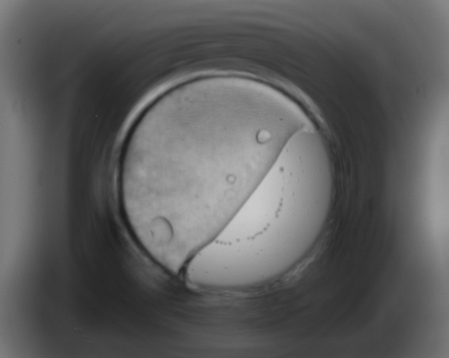 X0000083041514200703022037