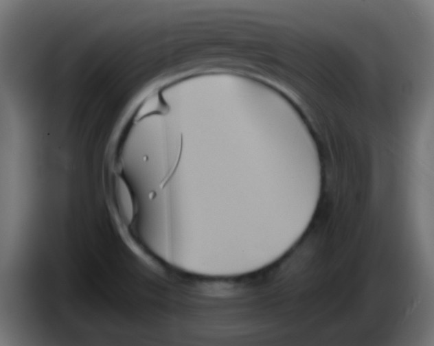 X0000083041515200703022037