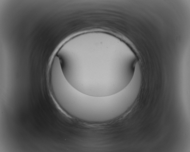 X0000083041516200703022037