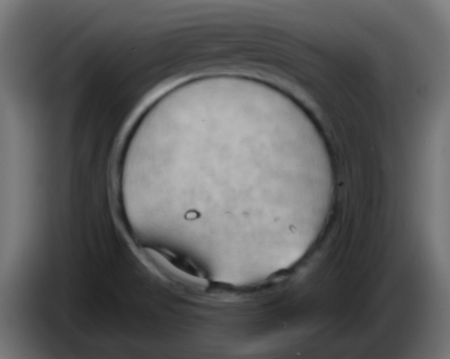 X0000083041517200703022037