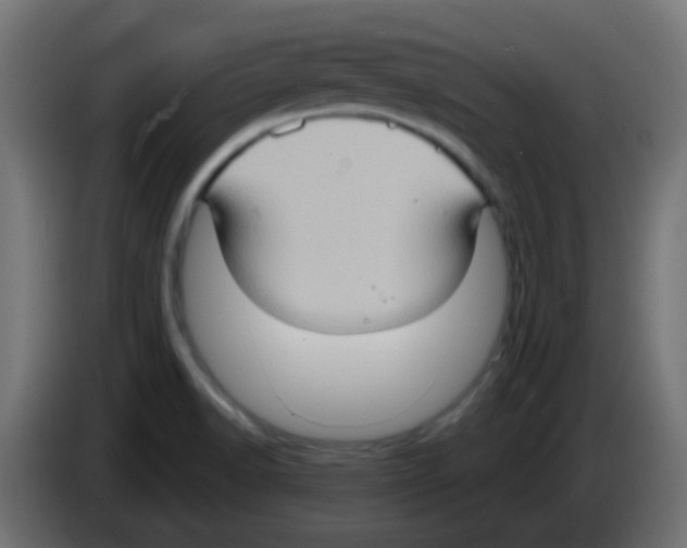 X0000083041518200703022037