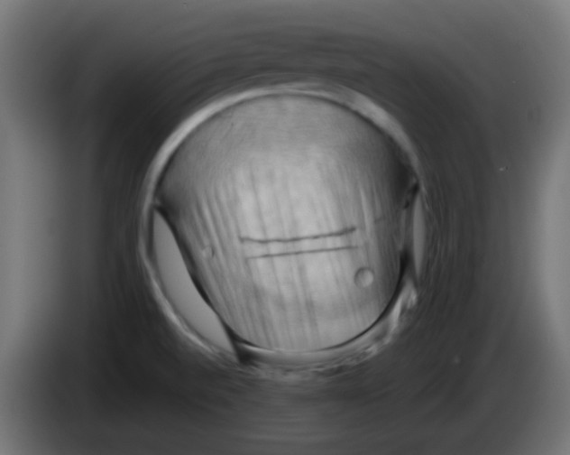 X0000083041520200703022037