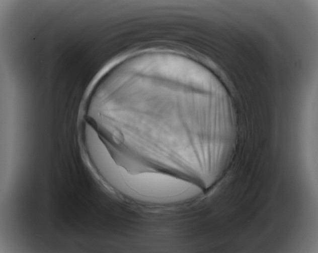 X0000083041522200703022037