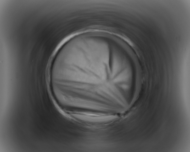 X0000083041523200703022037