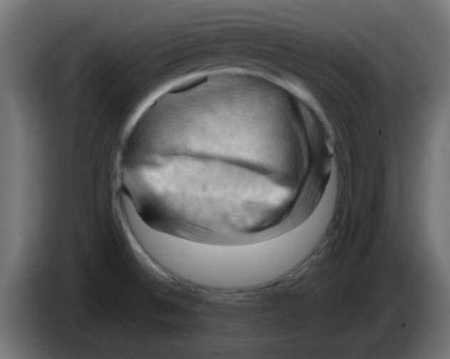 X0000083041524200703022037