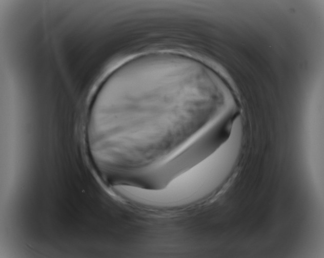 X0000083041525200703022037