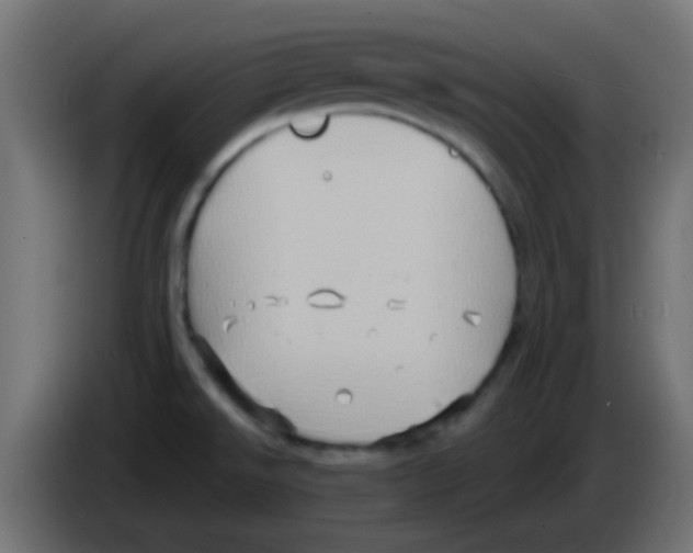 X0000083041526200703022037