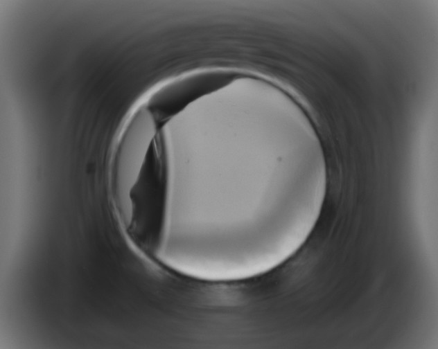 X0000083041527200703022037