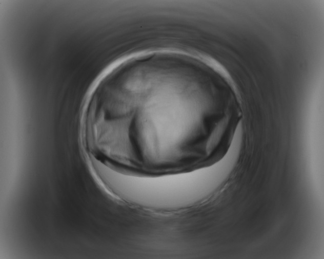 X0000083041528200703022037