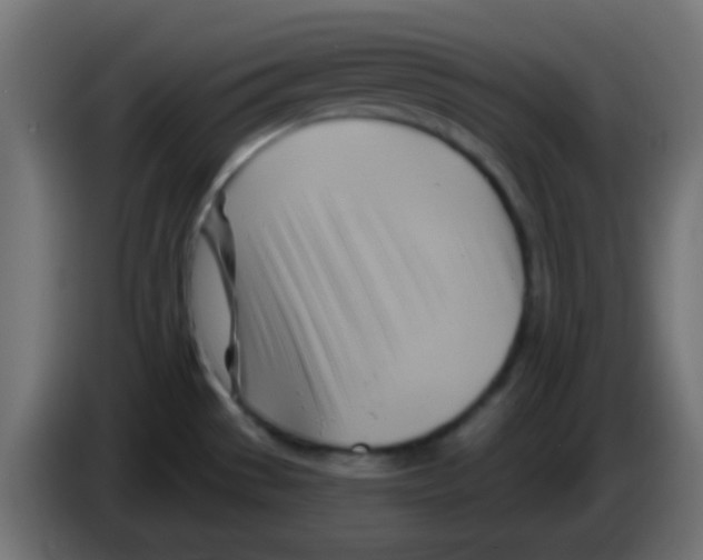 X0000083041529200703022037