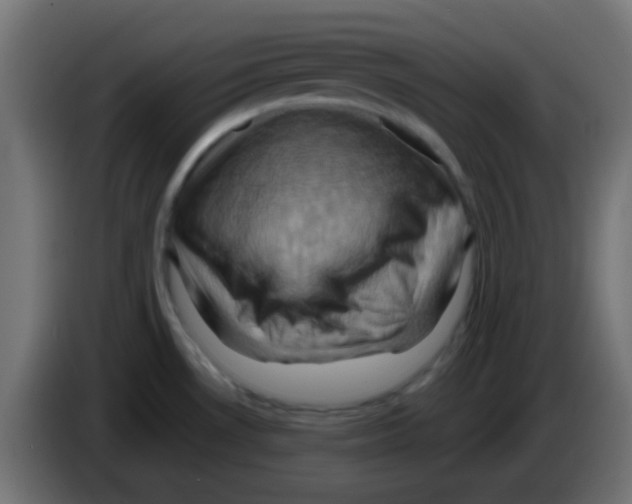 X0000083041530200703022037