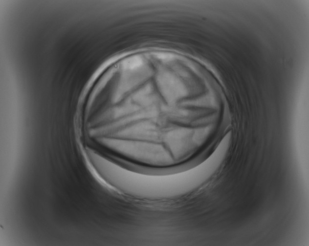 X0000083041531200703022037