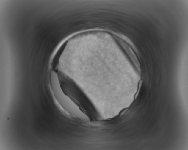 X0000083041532200703022037