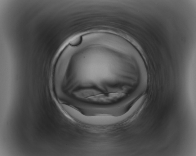 X0000083041533200703022037