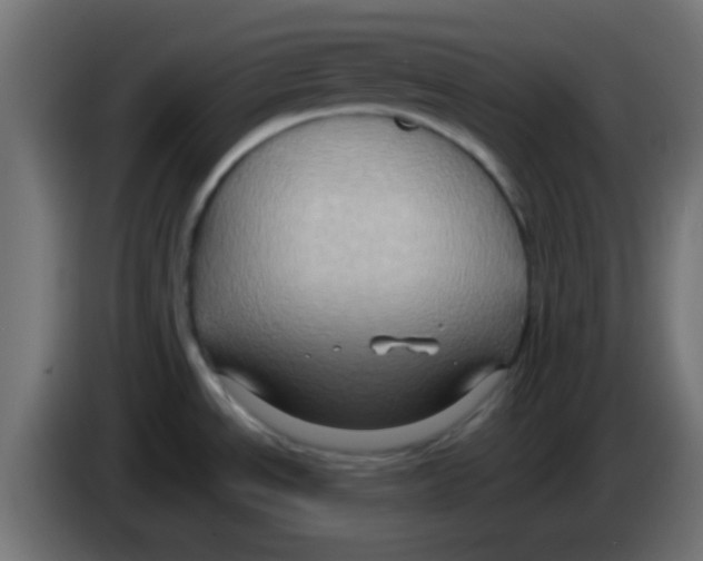 X0000083041534200703022037