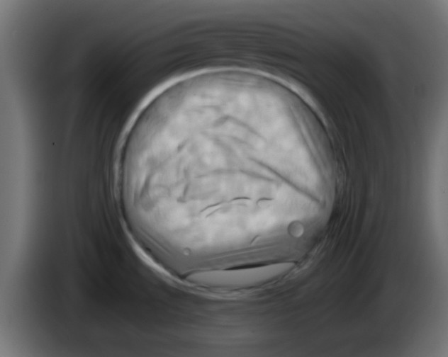 X0000083041535200703022037