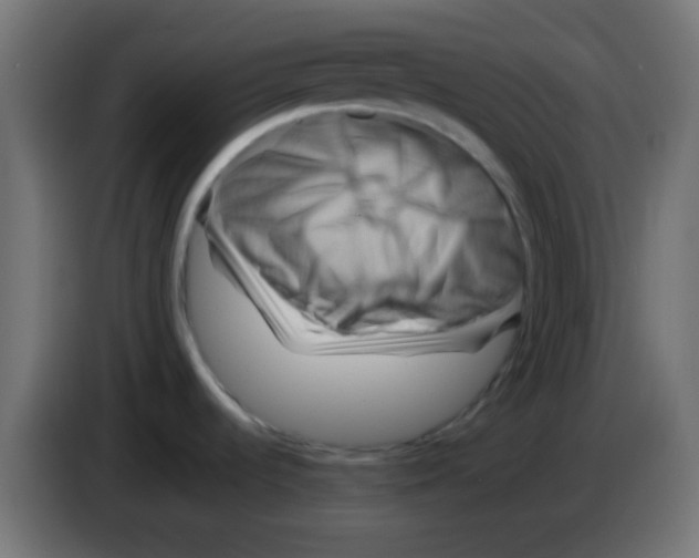 X0000083041536200703022037